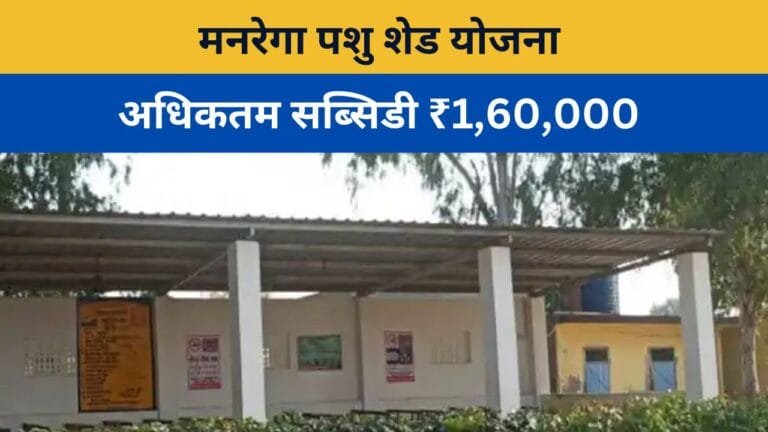 मनरेगा पशु शेड योजना