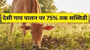 देसी गाय पालन