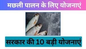 मछली पालन के लिए योजनाएं