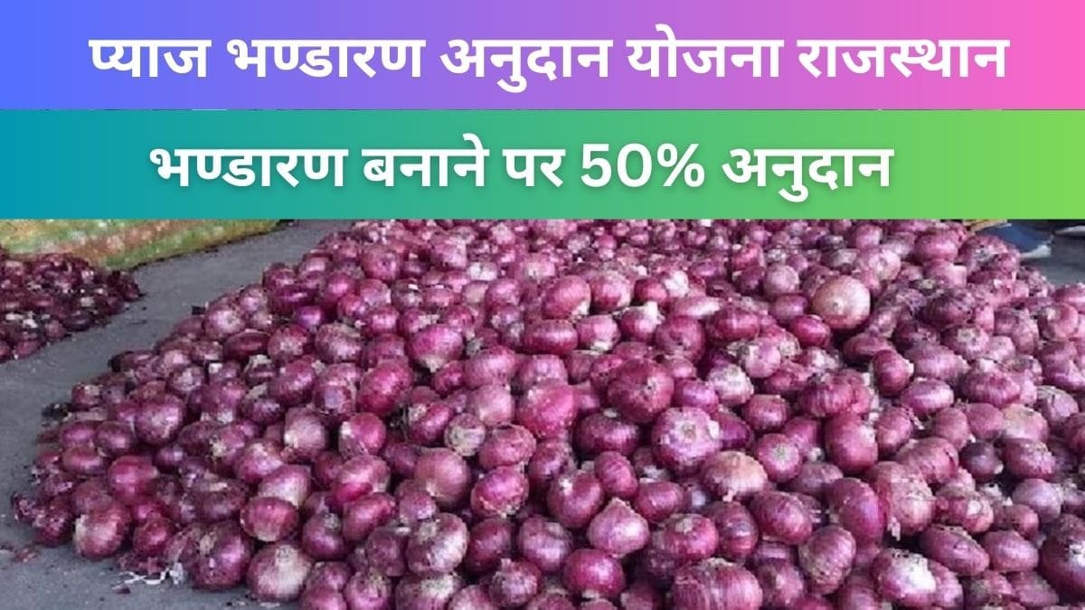 प्याज भण्डारण अनुदान योजना राजस्थान