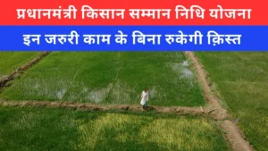 पीएम किसान की अगली किस्त