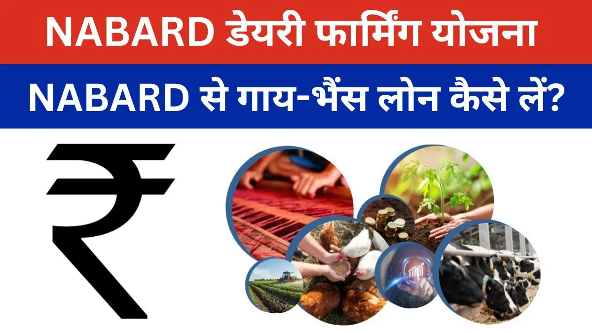 NABARD डेयरी फार्मिंग योजना