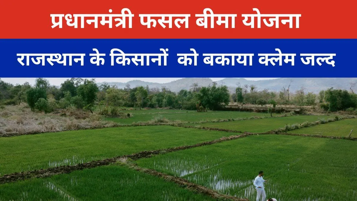 बकाया फसल बीमा क्लेम