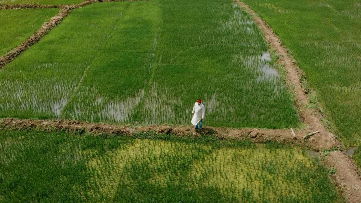 बीज पर सब्सिडी योजना उत्तर प्रदेश