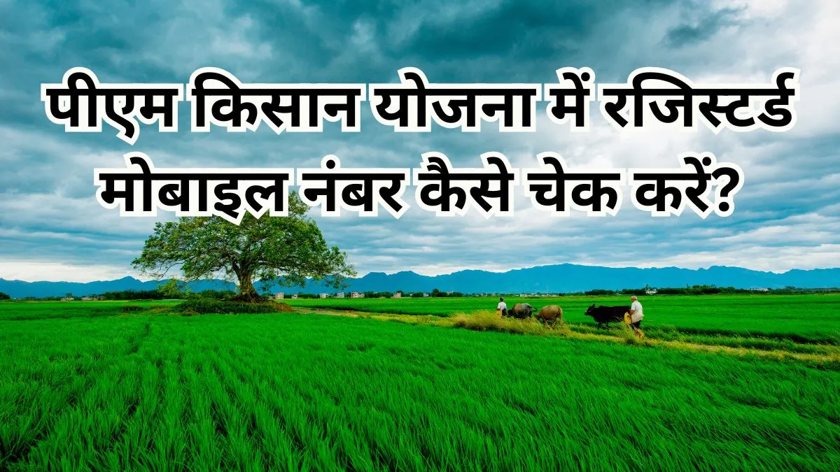 पीएम किसान योजना में रजिस्टर्ड मोबाइल नंबर कैसे चेक करें