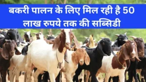 बकरी पालन योजना सब्सिडी