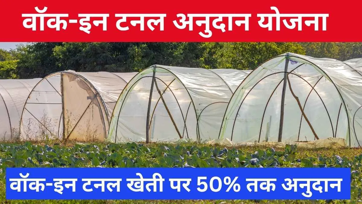 वॉक-इन टनल अनुदान योजना राजस्थान