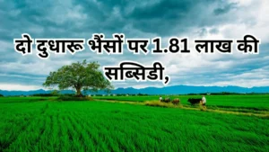 समग्र भैंस पालन विकास योजना