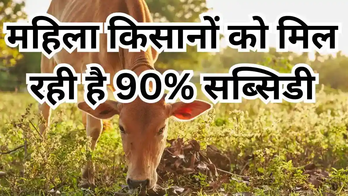 छत्तीसगढ़ दुधारू पशु प्रदाय योजना