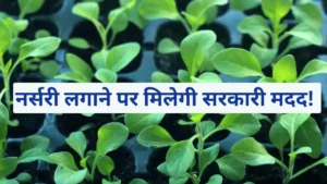 नर्सरी लगाने पर मिलेगी सरकारी मदद