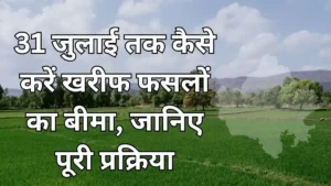 प्रधानमंत्री फसल बीमा योजना
