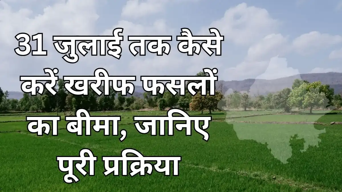 प्रधानमंत्री फसल बीमा योजना
