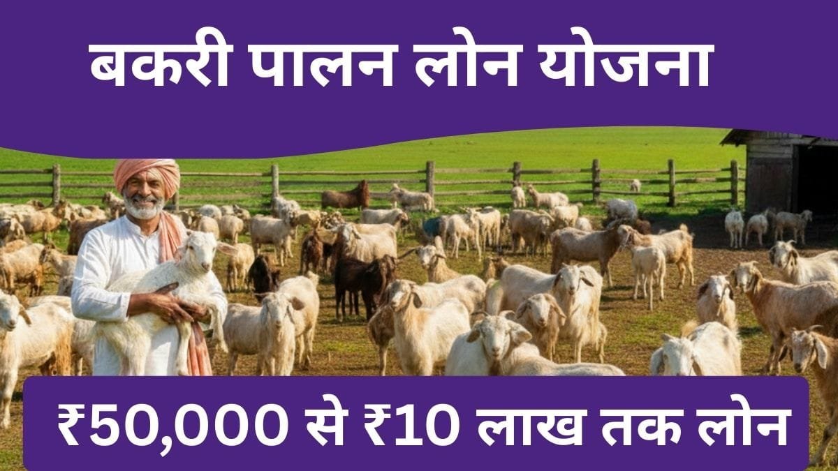Goat Farming Loan 2026