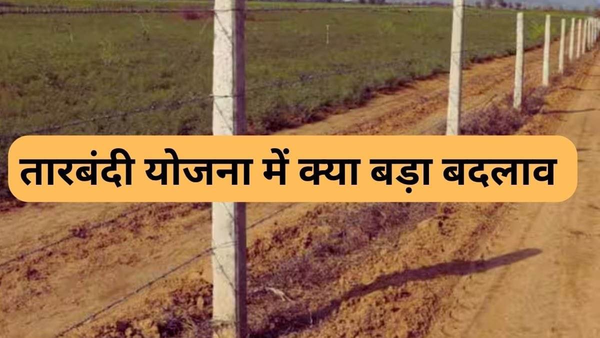 राजस्थान तारबंदी योजना